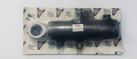 Cilindro 10de48/22 Goldoni originale